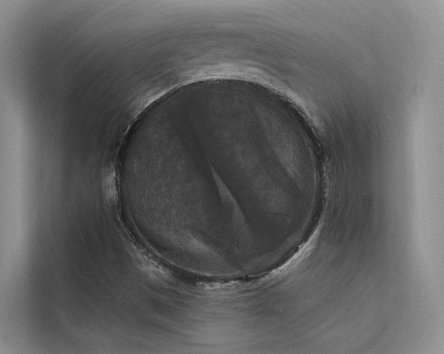 X0000112201497200908071423