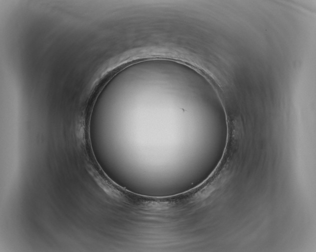 X0000112201499200908071423