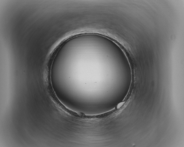 X0000112201502200908071423