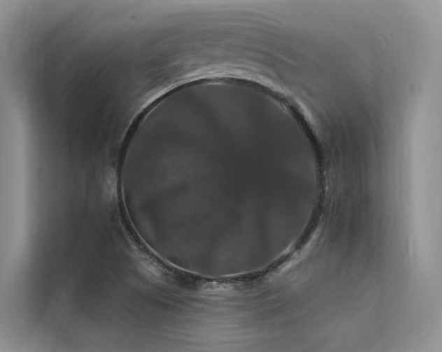 X0000112201505200908071423