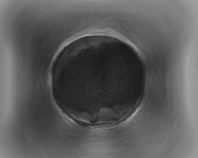 X0000112201506200908071423