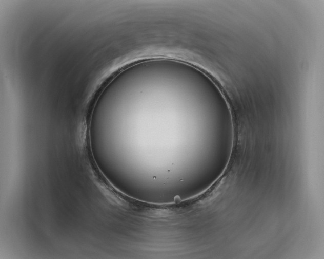 X0000112201507200908071423