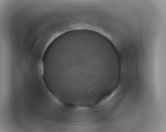 X0000112201509200908071423