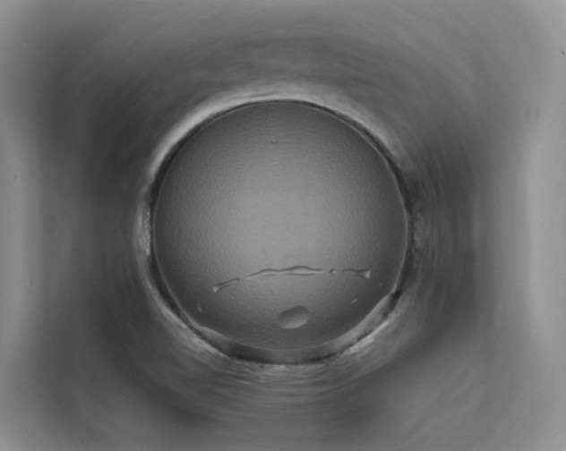 X0000112201510200908071423
