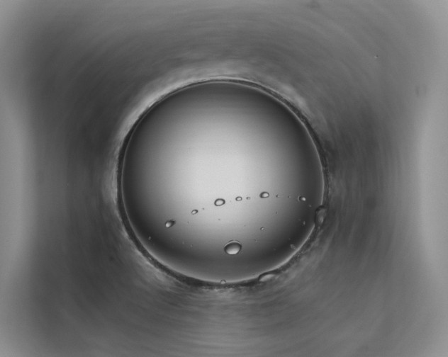 X0000112201512200908071423