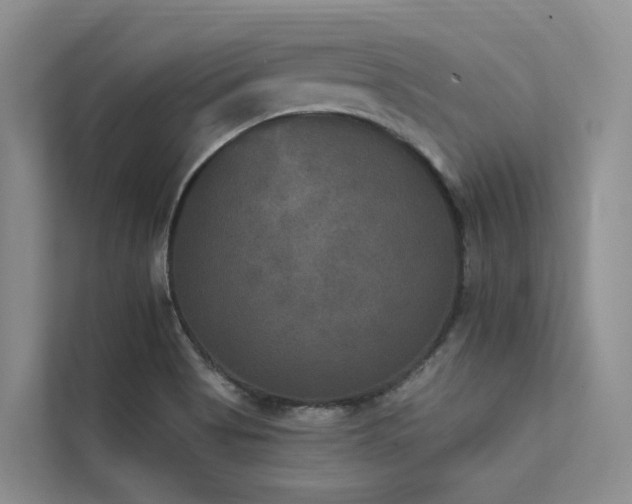 X0000112201513200908071424