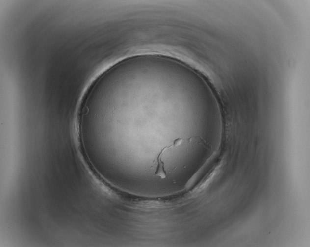 X0000112201517200908071424