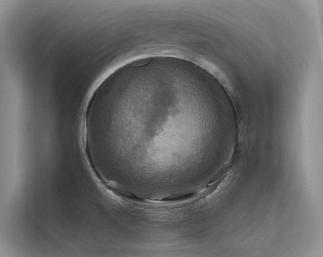 X0000112201520200908071424