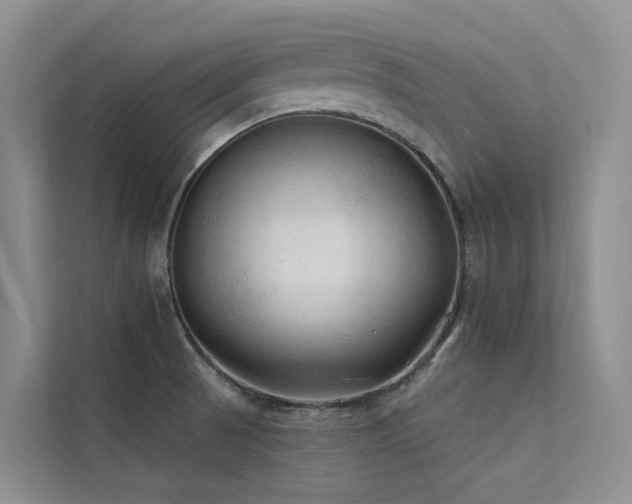 X0000112201521200908071424