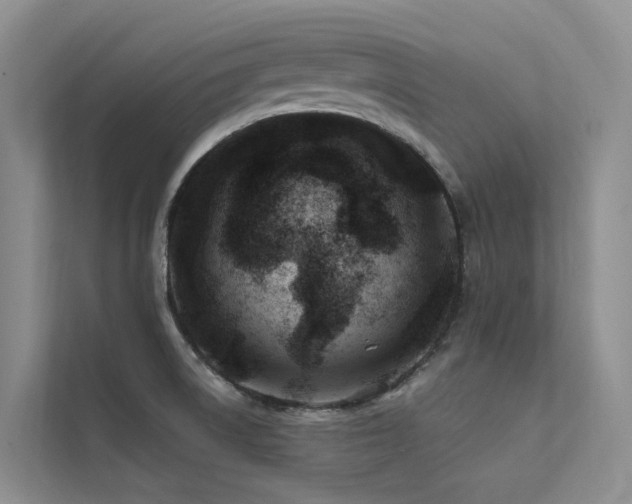 X0000112201522200908071424