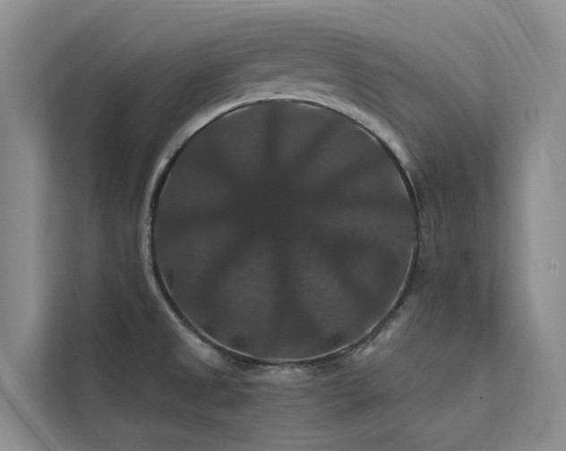 X0000112201525200908071424