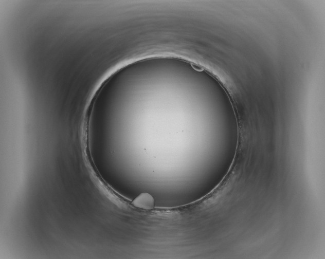 X0000112201526200908071424