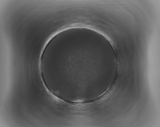 X0000112201527200908071424