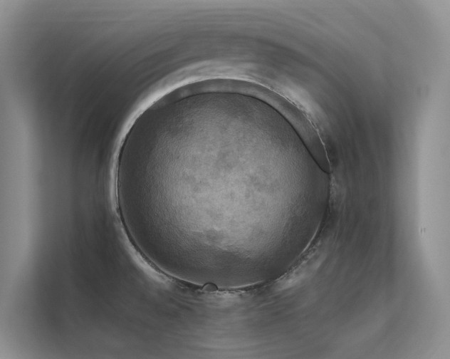 X0000112201528200908071424