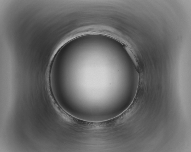 X0000112201530200908071424