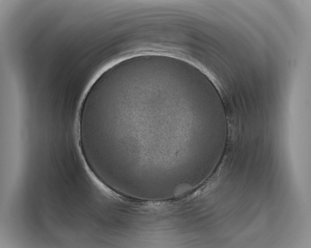 X0000112201531200908071424