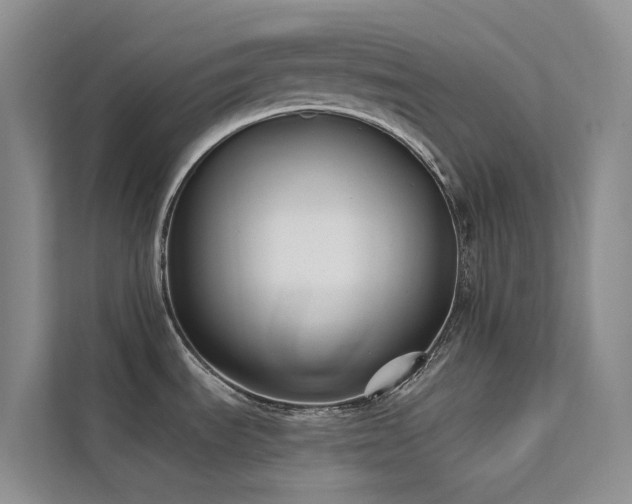 X0000112201535200908071424
