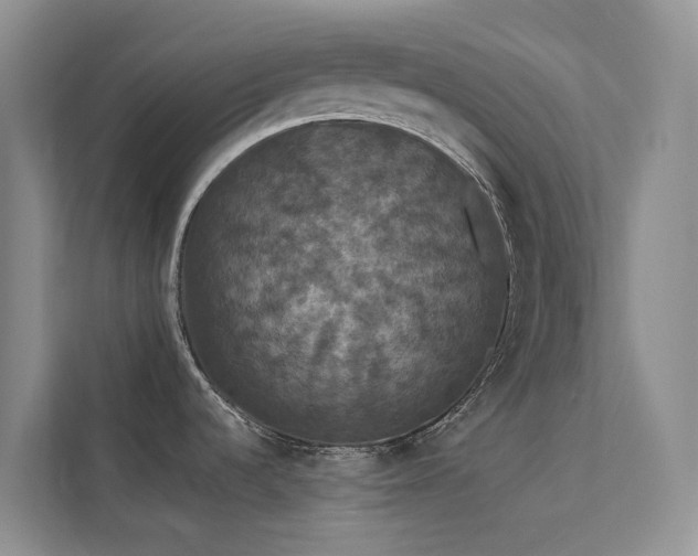 X0000112201536200908071424