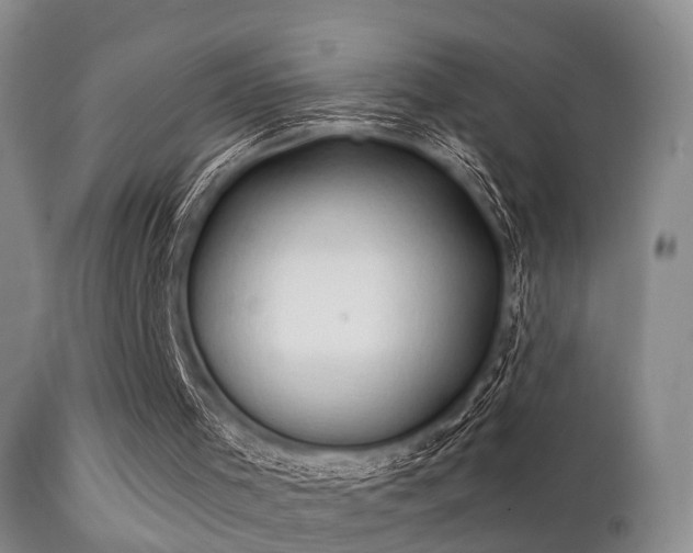 X0000112200001200908141445