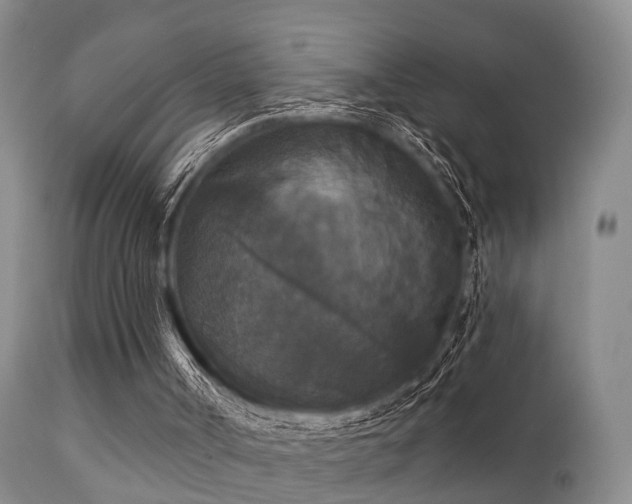 X0000112200002200908141445