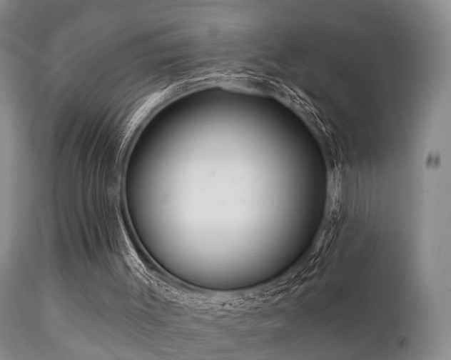 X0000112200003200908141445