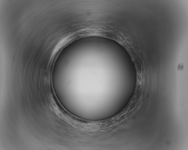 X0000112200004200908141445