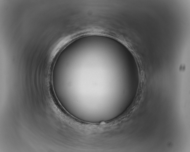 X0000112200007200908141445