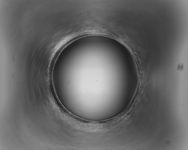 X0000112200008200908141445