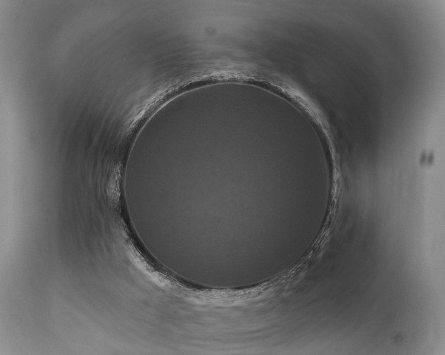 X0000112200009200908141445