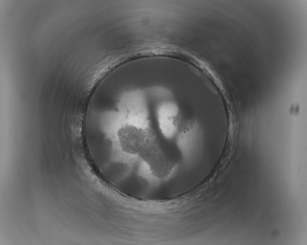 X0000112200010200908141445