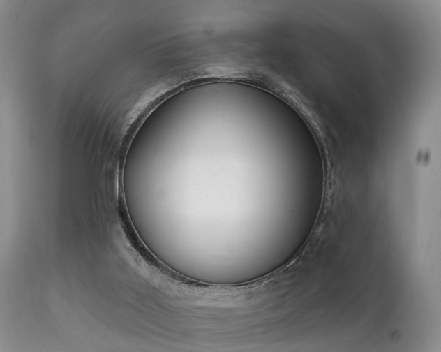 X0000112200011200908141445