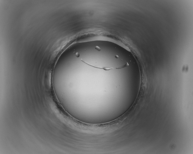 X0000112200014200908141445