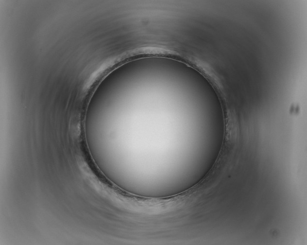 X0000112200015200908141445