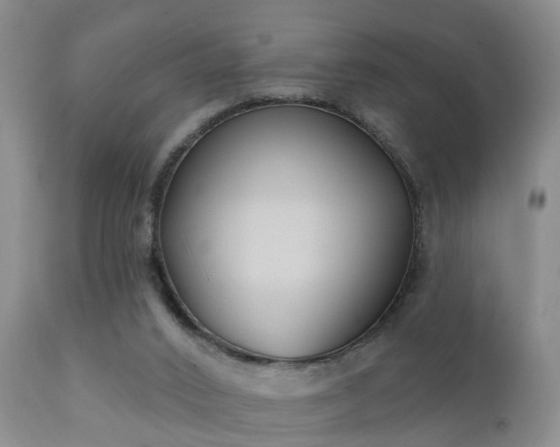 X0000112200016200908141445