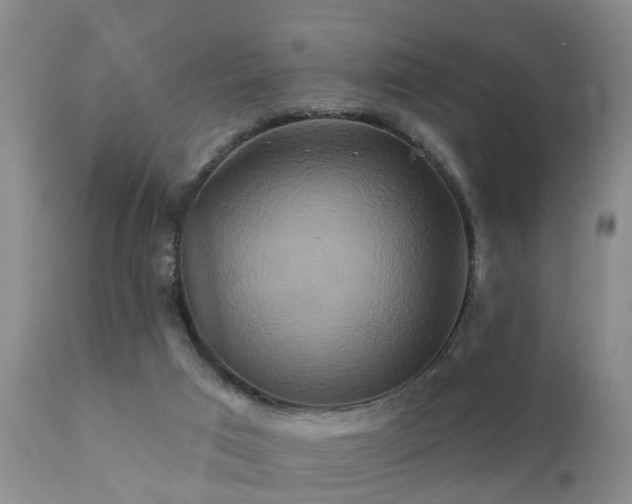 X0000112200017200908141445