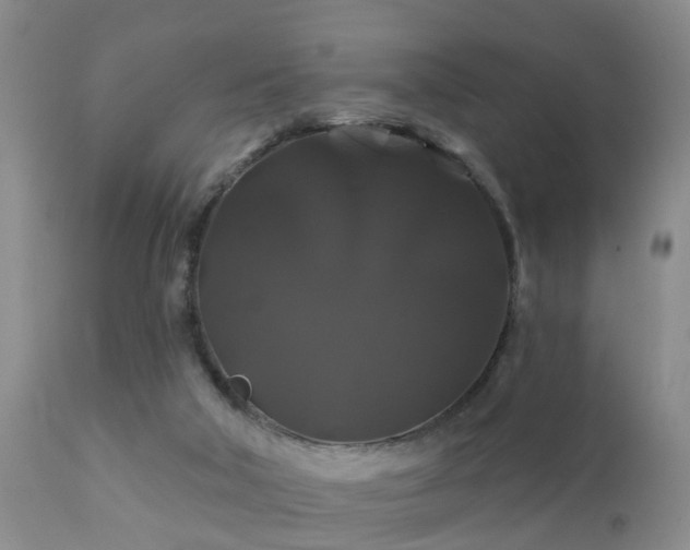 X0000112200018200908141445