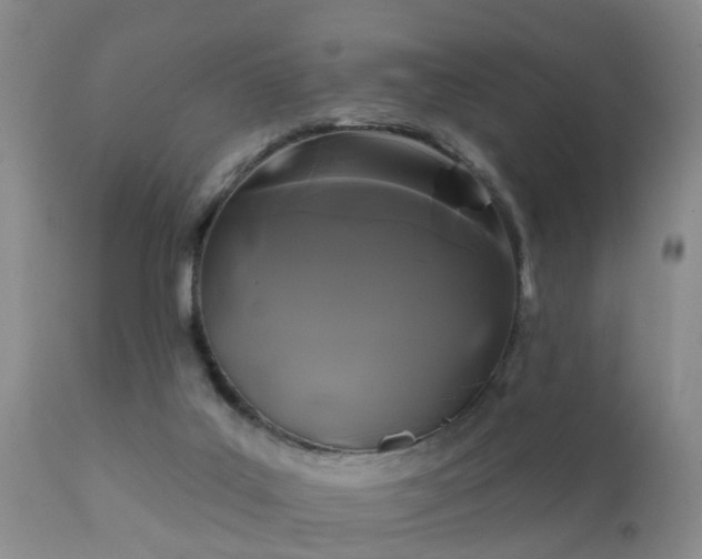 X0000112200019200908141445