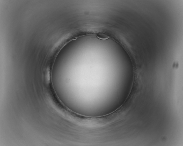 X0000112200020200908141445