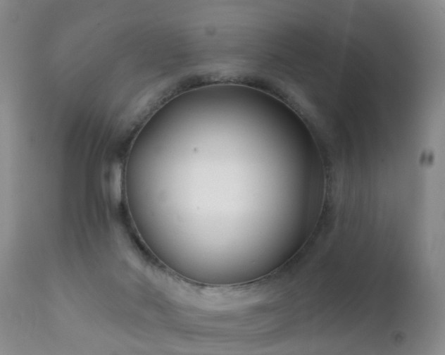 X0000112200022200908141445