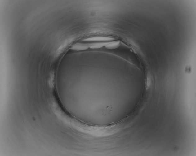 X0000112200023200908141445