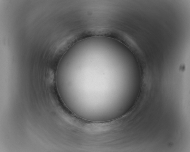 X0000112200025200908141445