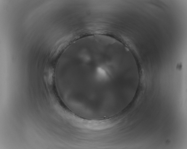 X0000112200026200908141445