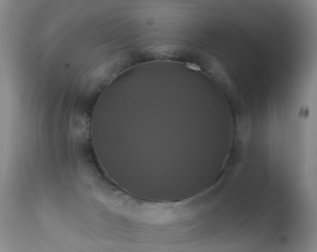 X0000112200029200908141445