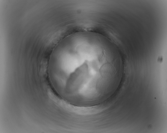 X0000112200030200908141445