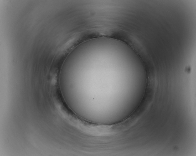 X0000112200032200908141445