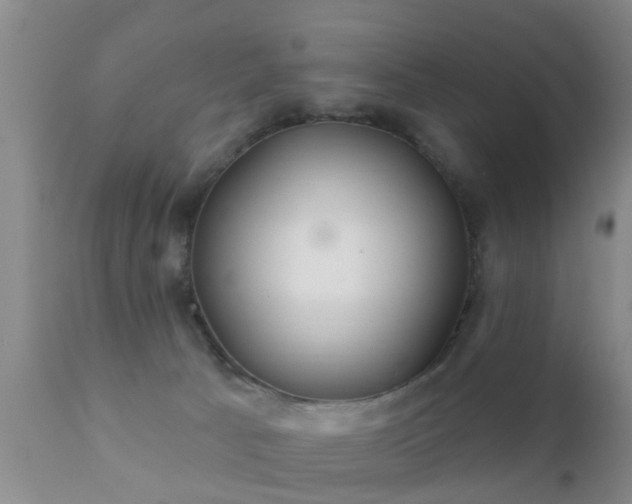 X0000112200033200908141445