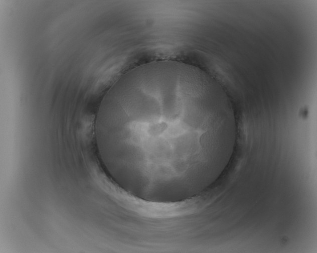 X0000112200034200908141445