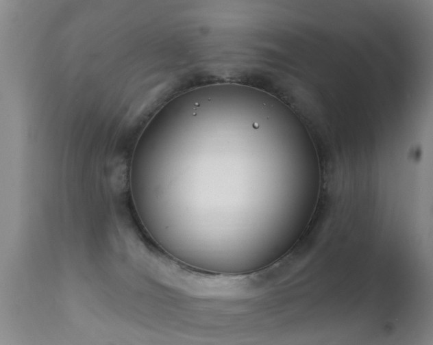 X0000112200036200908141445