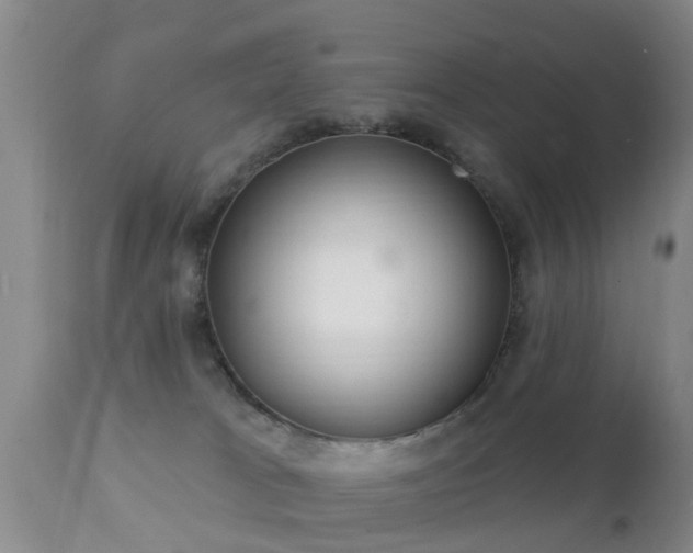 X0000112200037200908141445