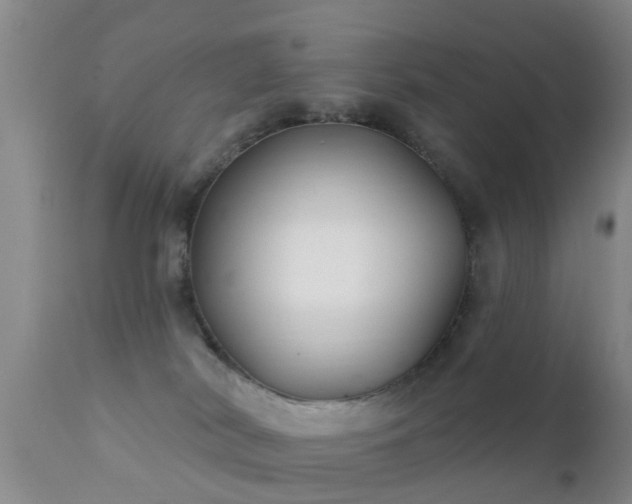 X0000112200038200908141445